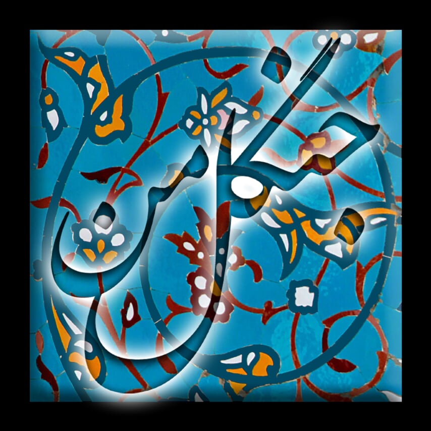 جنگل من (My Forest)